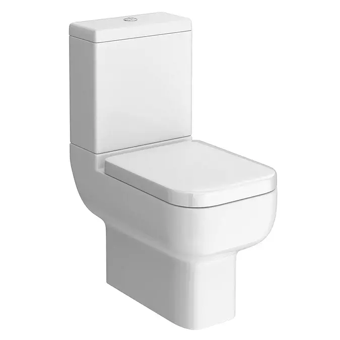 Modern Toilet Style 2