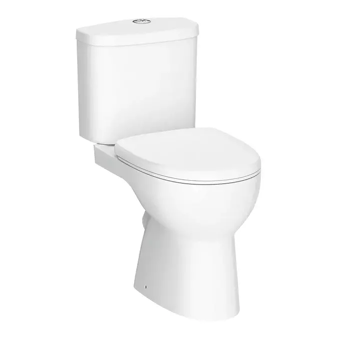 Modern Toilet Style 3