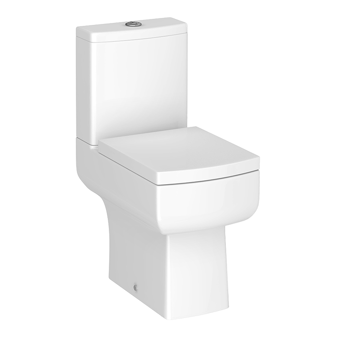 Modern Toilet Style 1